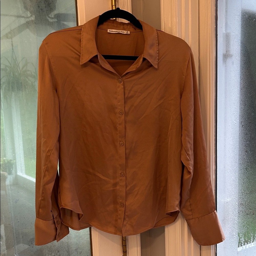 Abercrombie & Fitch silky tan Blouse - Picture 3 of 5